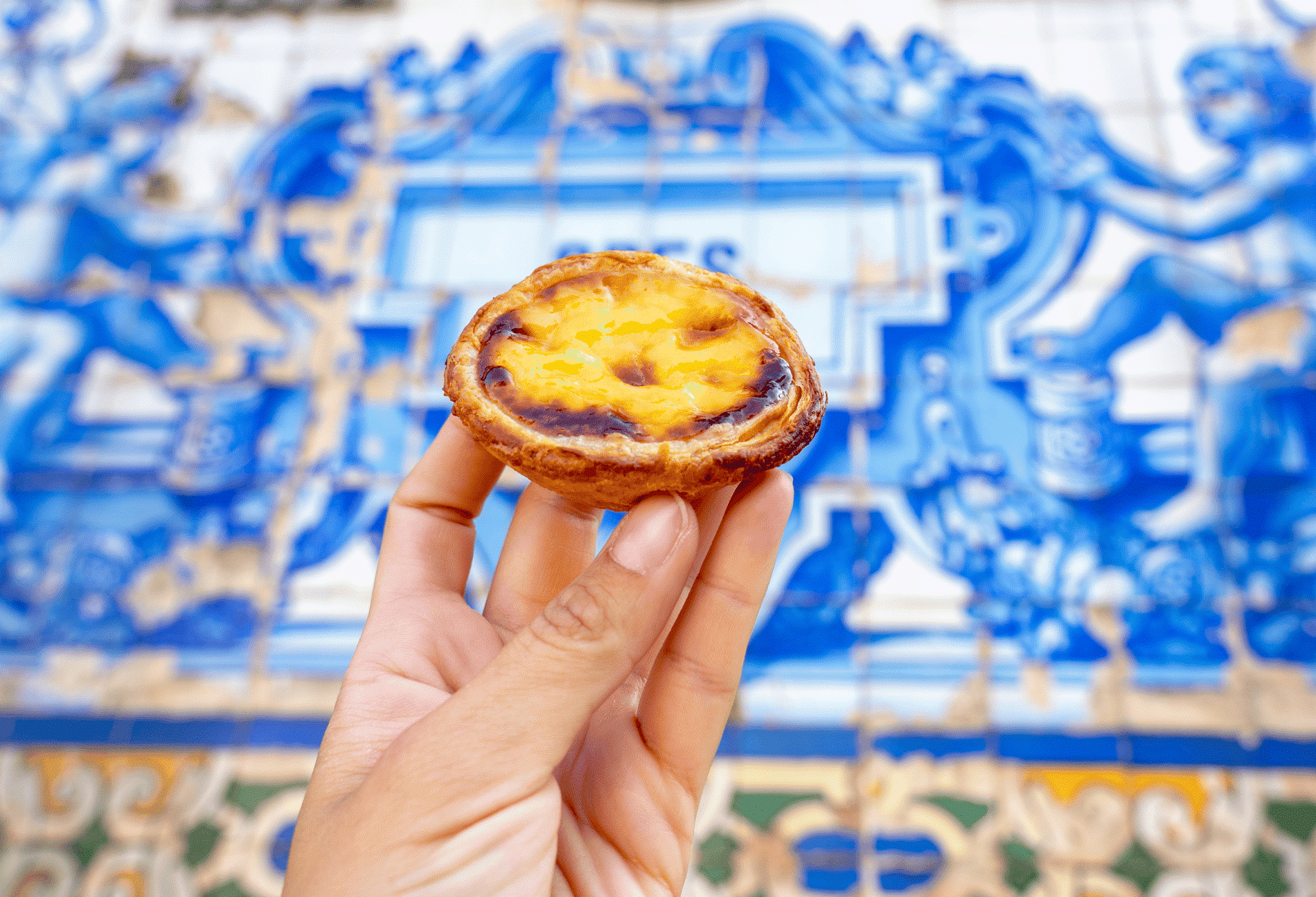 Traditional Portuguese custard tarts
